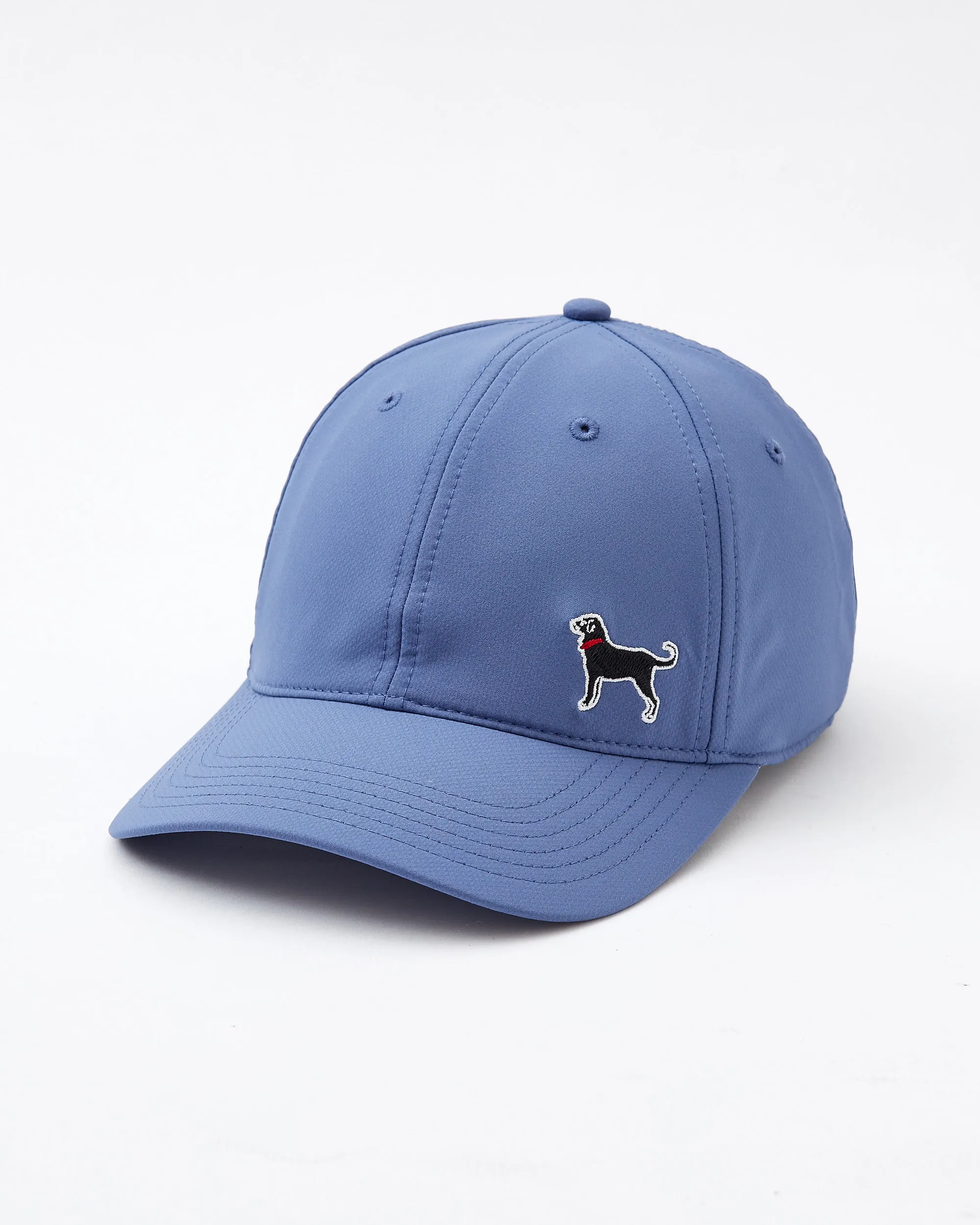 Adult Side Dog Baseball Hat