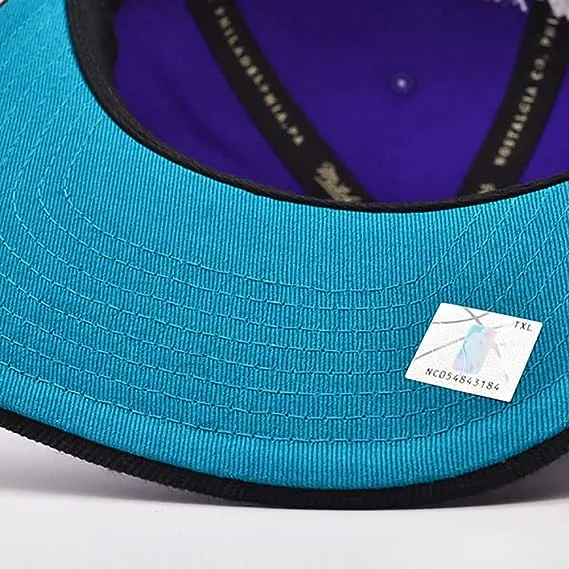 Men's Charlotte Hornets Mitchell & Ness NBA Core Basic HWC Purple/Black Snapback Hat