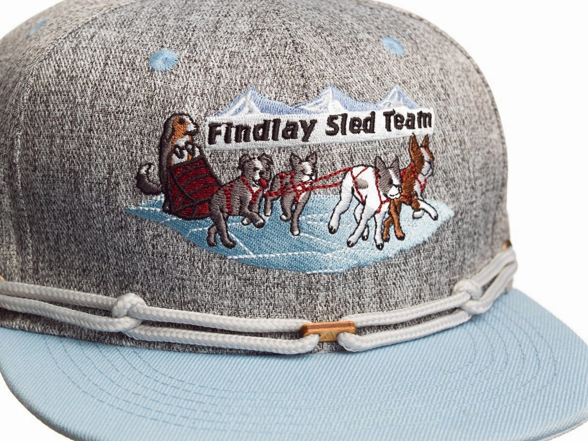 Sled Team